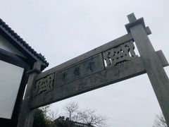 -龙井村