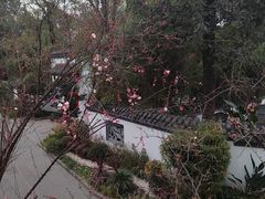-成都市文化公园