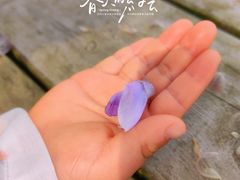 -花博汇(知音花月夜)