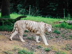 -杭州野生动物世界