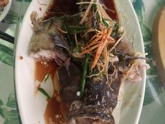 清蒸石斑鱼-四姑娘川味海鲜(八爪鱼店)