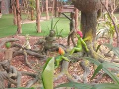 -呀路古热带植物园
