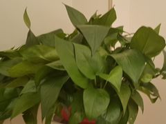 -香山湖渔家大院