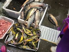 -北京清河镇农副产品交易市场中心