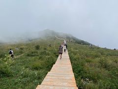 -白草畔自然风景区