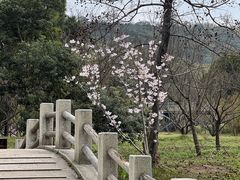 -无锡梅园公园