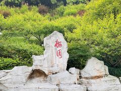 -重庆彩云湖湿地公园