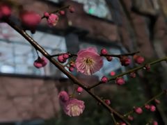 -浙江大学(玉泉校区)
