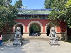 -灵谷景区