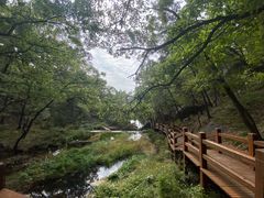 -鲁山国家森林公园