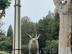 -青龙湖公园