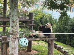 -西霞口神雕山野生动物世界