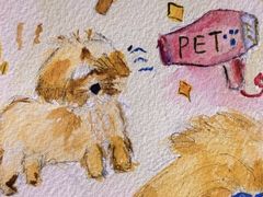 -PET WISH宠物愿望(BFC外滩金融中心店)