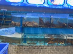 -蓝珊甄选海鲜自助·火锅大排档(近阿那亚店)