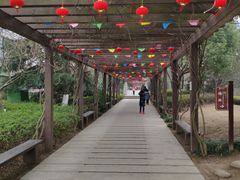 -白马涧龙池景区