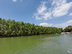 -东寨港红树林旅游区