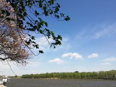 -天津武清北运河郊野公园房车露营地