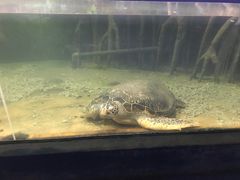 -苏州海洋馆
