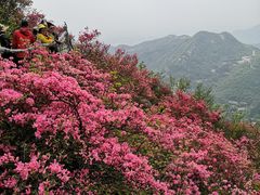 -木兰云雾山