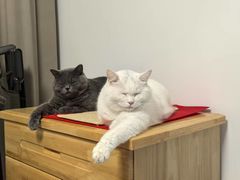 -水木锦堂·自助铁板烧(五道口购物中心店)