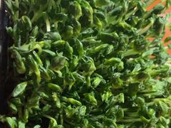 -捞王猪肚鸡火锅(昆山店)