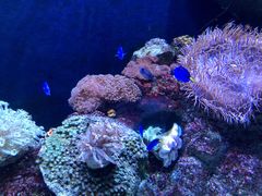 -成都浩海立方海洋公园