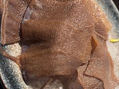 -重庆九记老火锅(广场店)