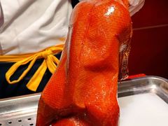 -燕兰楼·清真西北融合菜(亚运村店)