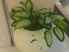 -莲花国际广场