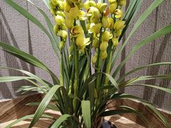 -厦门日月谷温泉渡假村