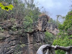 -黔府豆米火锅野菜馆(南马店)