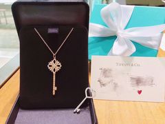 -Tiffany & Co.蒂芙尼
(南京德基广场店)