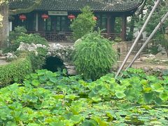 -上海醉白池公园