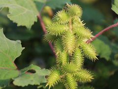 -天芳悦潭度假村温泉