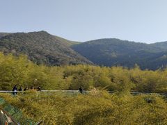 -陶祖圣境风景区