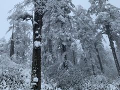 -瓦屋山景区