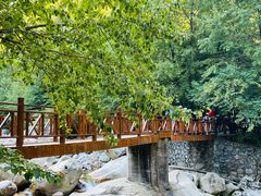 -青峰峡国家森林公园