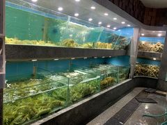-欧记·龙城港(欣都店)