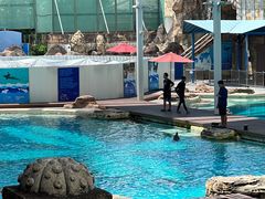 -新加坡水上探险乐园