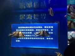 -福州罗源湾海洋世界旅游区
