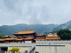 -深圳仙湖植物园