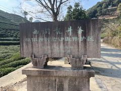 -龙坞茶村
