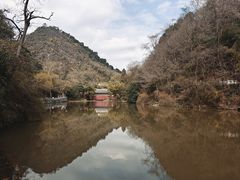 -黔灵山公园
