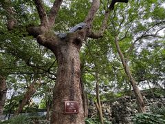 -绮园景区