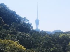 -梧桐山风景名胜区