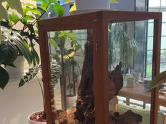 -一尺花园(安和花园店)