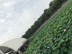 -北京天湖会议中心