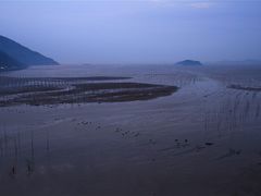 -北岐滩涂