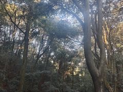 -西湖风景区十里琅珰-五云山
