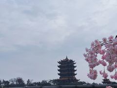 -黄鹤楼公园(黄鹤楼)